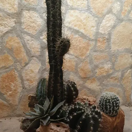 Villa Cornino Mare *